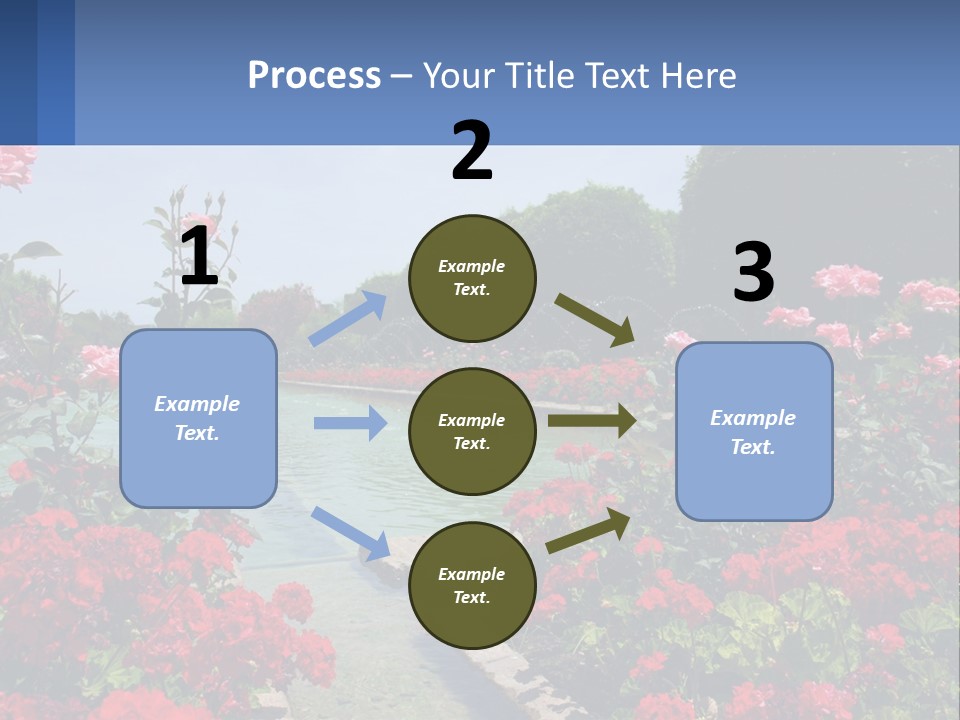 A Garden Filled With Lots Of Red Flowers PowerPoint Template