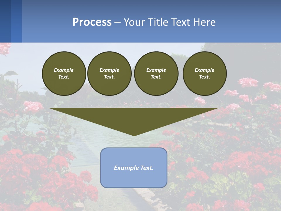 A Garden Filled With Lots Of Red Flowers PowerPoint Template