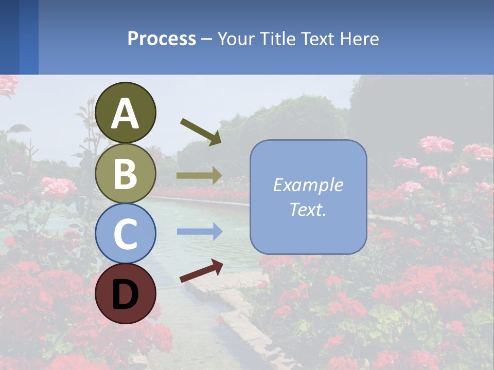 A Garden Filled With Lots Of Red Flowers PowerPoint Template