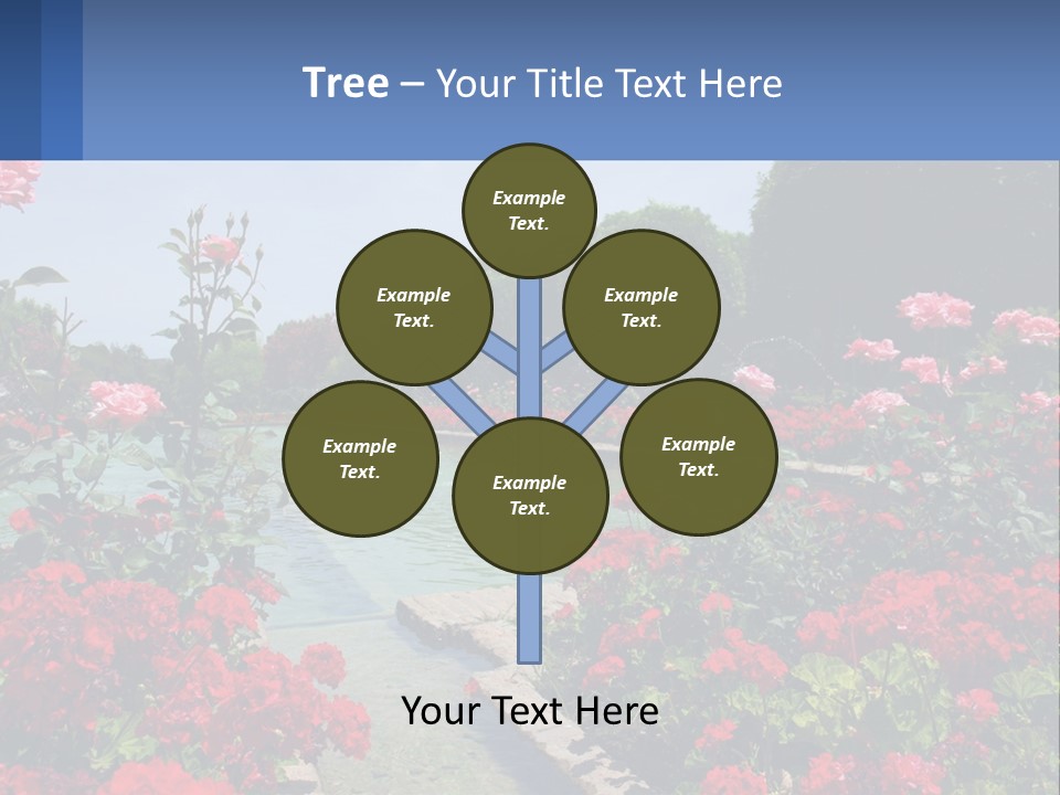 A Garden Filled With Lots Of Red Flowers PowerPoint Template