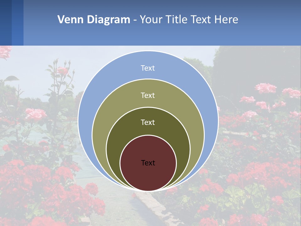 A Garden Filled With Lots Of Red Flowers PowerPoint Template