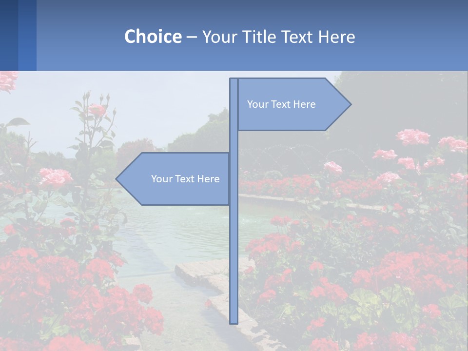 A Garden Filled With Lots Of Red Flowers PowerPoint Template