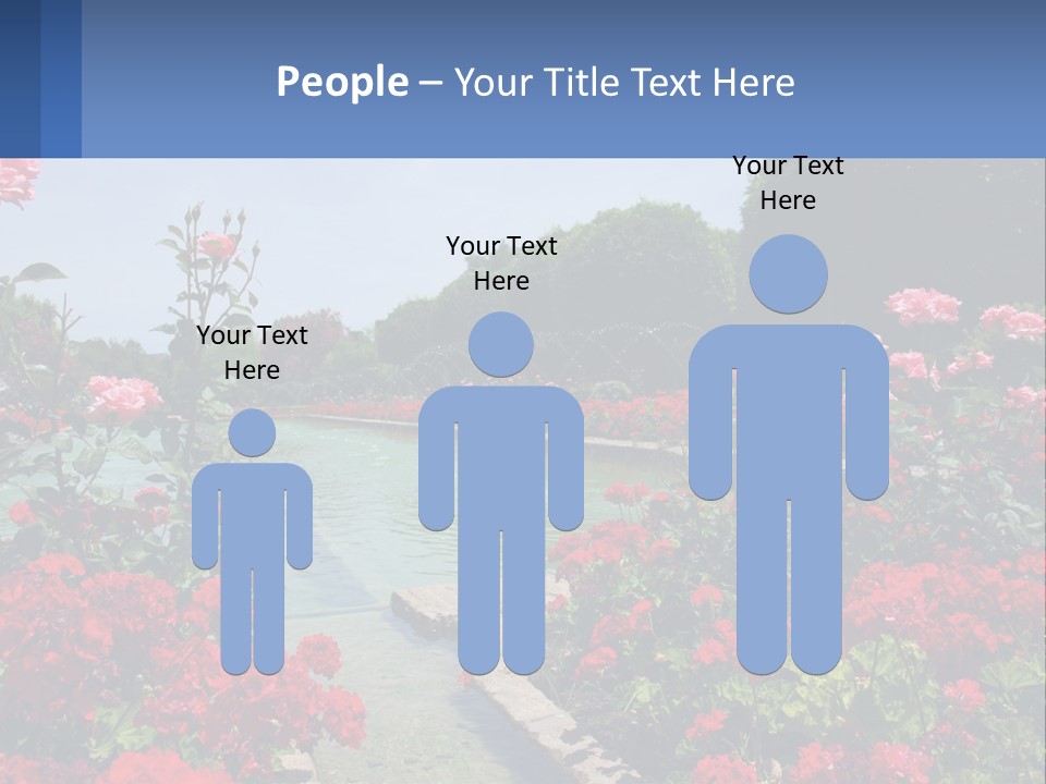 A Garden Filled With Lots Of Red Flowers PowerPoint Template