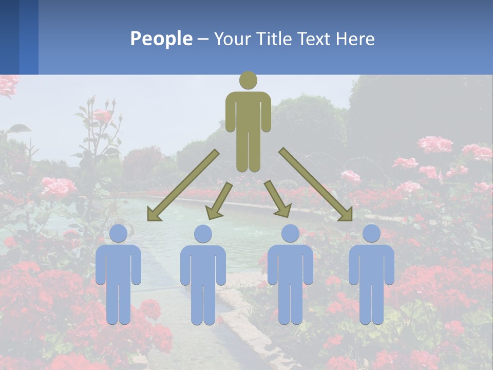 A Garden Filled With Lots Of Red Flowers PowerPoint Template