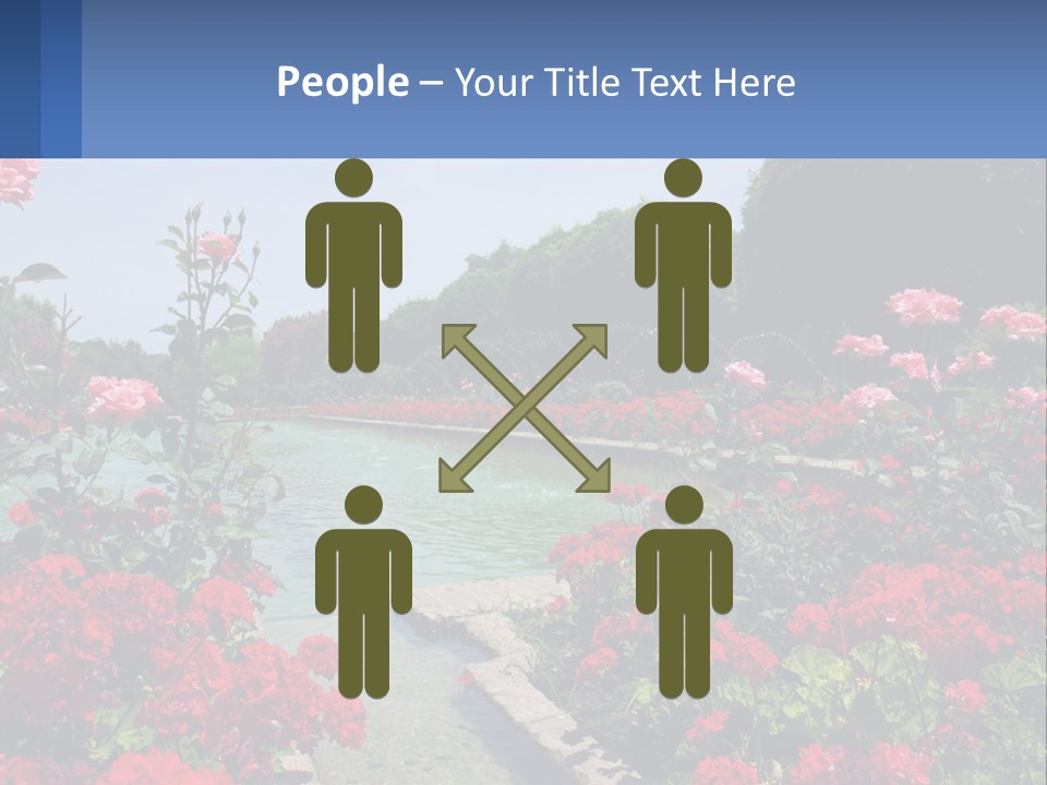 A Garden Filled With Lots Of Red Flowers PowerPoint Template