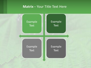 A Bunch Of Blackberries Sitting On Top Of A Green Leaf PowerPoint Template
