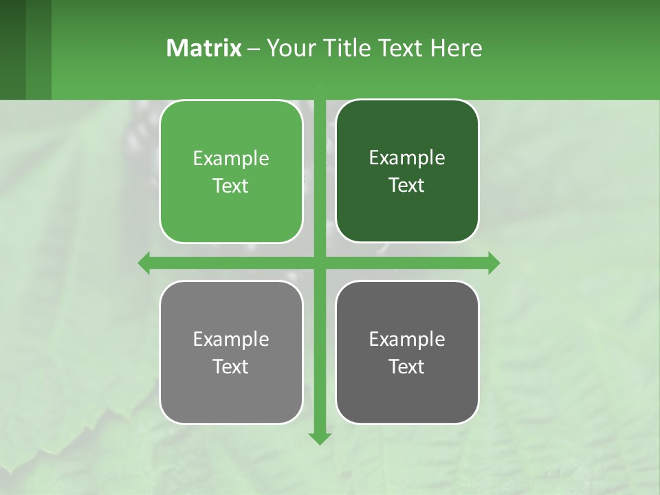 A Bunch Of Blackberries Sitting On Top Of A Green Leaf PowerPoint Template