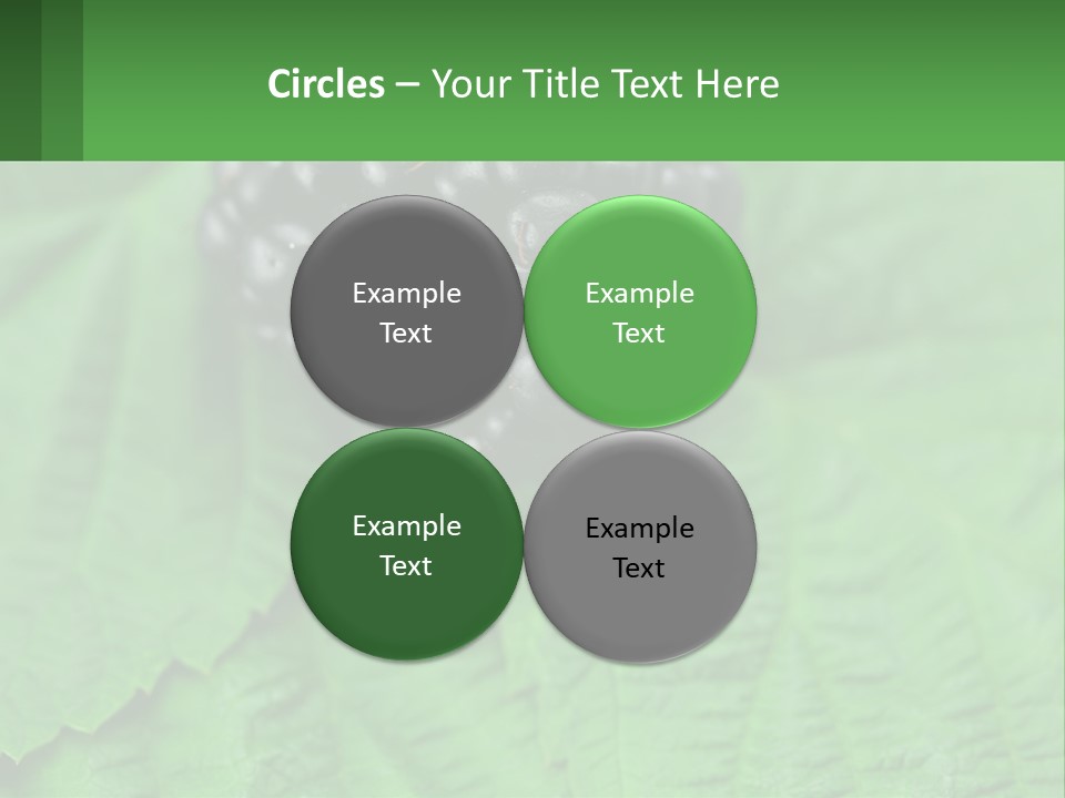 A Bunch Of Blackberries Sitting On Top Of A Green Leaf PowerPoint Template