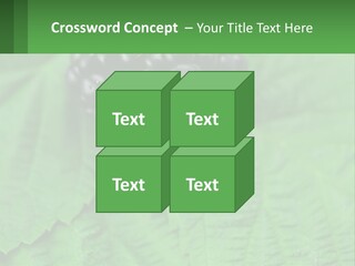 A Bunch Of Blackberries Sitting On Top Of A Green Leaf PowerPoint Template