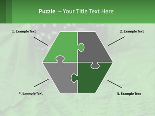 A Bunch Of Blackberries Sitting On Top Of A Green Leaf PowerPoint Template