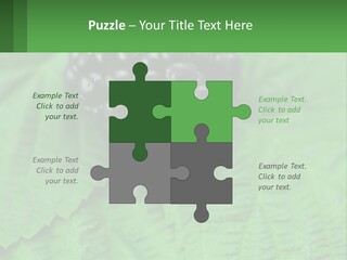 A Bunch Of Blackberries Sitting On Top Of A Green Leaf PowerPoint Template