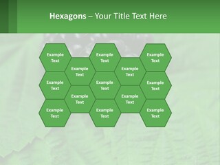 A Bunch Of Blackberries Sitting On Top Of A Green Leaf PowerPoint Template