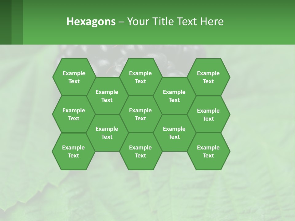 A Bunch Of Blackberries Sitting On Top Of A Green Leaf PowerPoint Template
