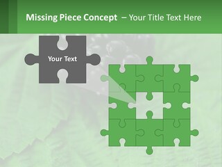 A Bunch Of Blackberries Sitting On Top Of A Green Leaf PowerPoint Template