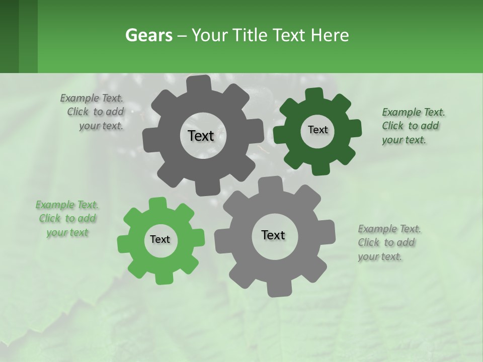 A Bunch Of Blackberries Sitting On Top Of A Green Leaf PowerPoint Template