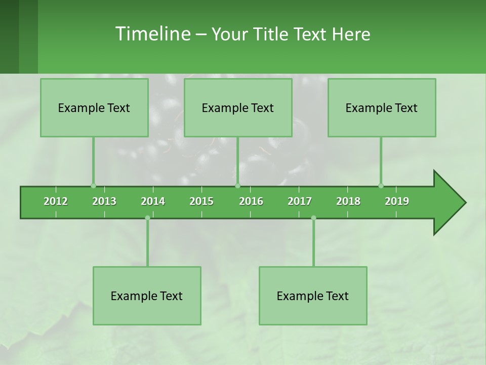 A Bunch Of Blackberries Sitting On Top Of A Green Leaf PowerPoint Template