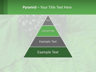 A Bunch Of Blackberries Sitting On Top Of A Green Leaf PowerPoint Template