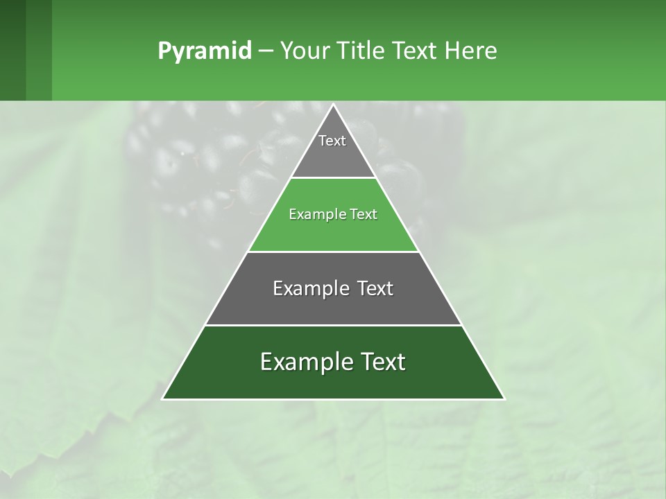 A Bunch Of Blackberries Sitting On Top Of A Green Leaf PowerPoint Template