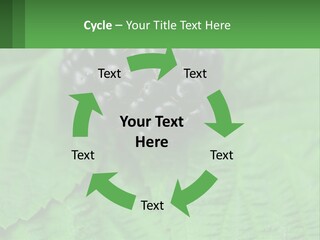 A Bunch Of Blackberries Sitting On Top Of A Green Leaf PowerPoint Template