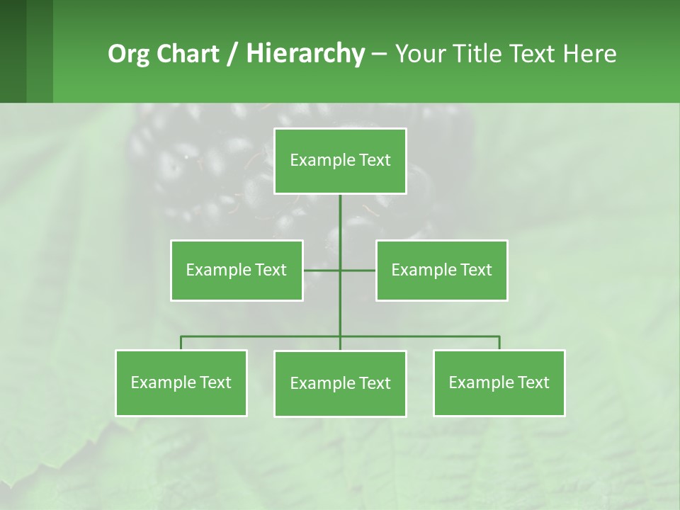A Bunch Of Blackberries Sitting On Top Of A Green Leaf PowerPoint Template