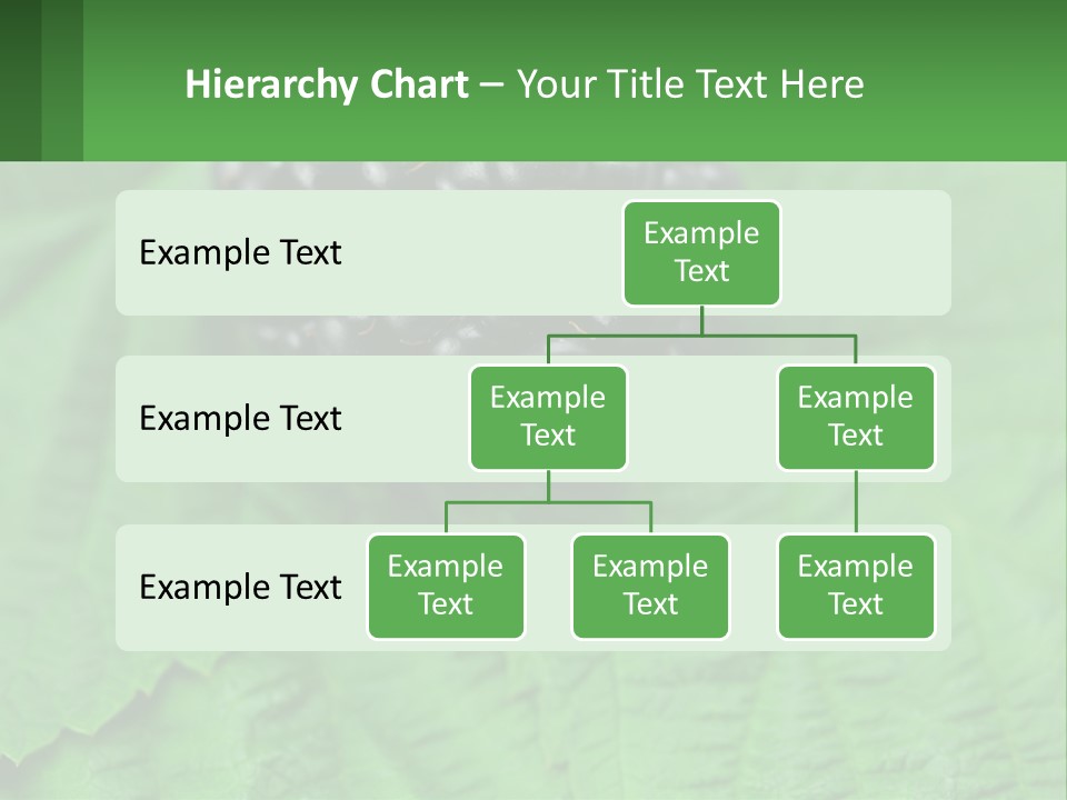 A Bunch Of Blackberries Sitting On Top Of A Green Leaf PowerPoint Template