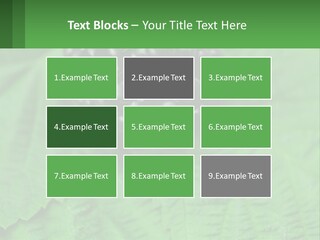 A Bunch Of Blackberries Sitting On Top Of A Green Leaf PowerPoint Template