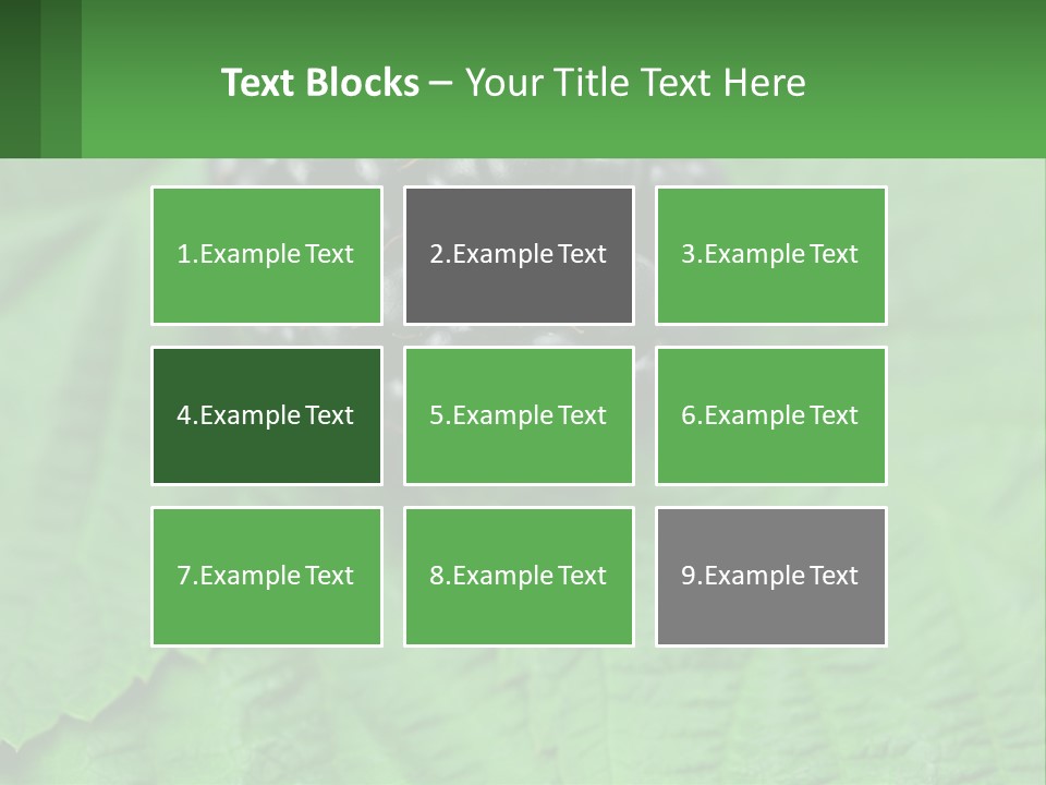 A Bunch Of Blackberries Sitting On Top Of A Green Leaf PowerPoint Template