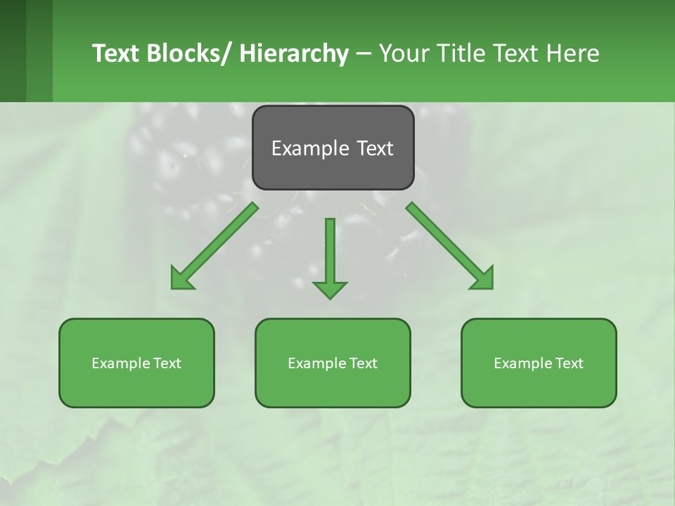 A Bunch Of Blackberries Sitting On Top Of A Green Leaf PowerPoint Template