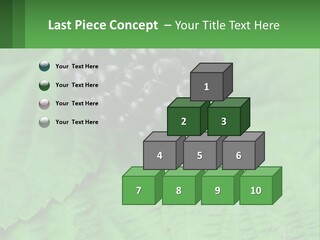 A Bunch Of Blackberries Sitting On Top Of A Green Leaf PowerPoint Template