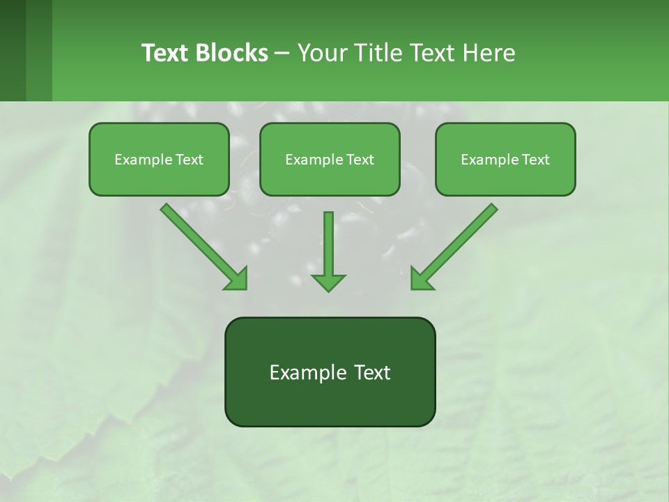 A Bunch Of Blackberries Sitting On Top Of A Green Leaf PowerPoint Template