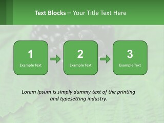 A Bunch Of Blackberries Sitting On Top Of A Green Leaf PowerPoint Template