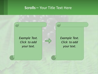 A Bunch Of Blackberries Sitting On Top Of A Green Leaf PowerPoint Template