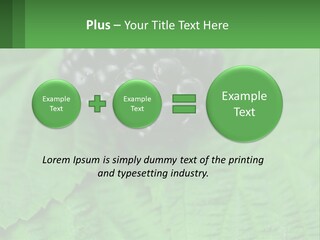A Bunch Of Blackberries Sitting On Top Of A Green Leaf PowerPoint Template