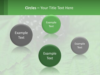 A Bunch Of Blackberries Sitting On Top Of A Green Leaf PowerPoint Template