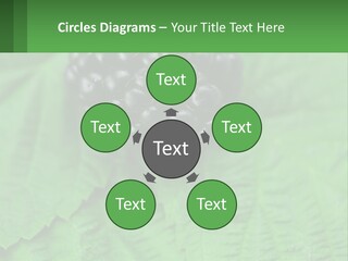 A Bunch Of Blackberries Sitting On Top Of A Green Leaf PowerPoint Template