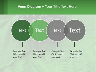 A Bunch Of Blackberries Sitting On Top Of A Green Leaf PowerPoint Template