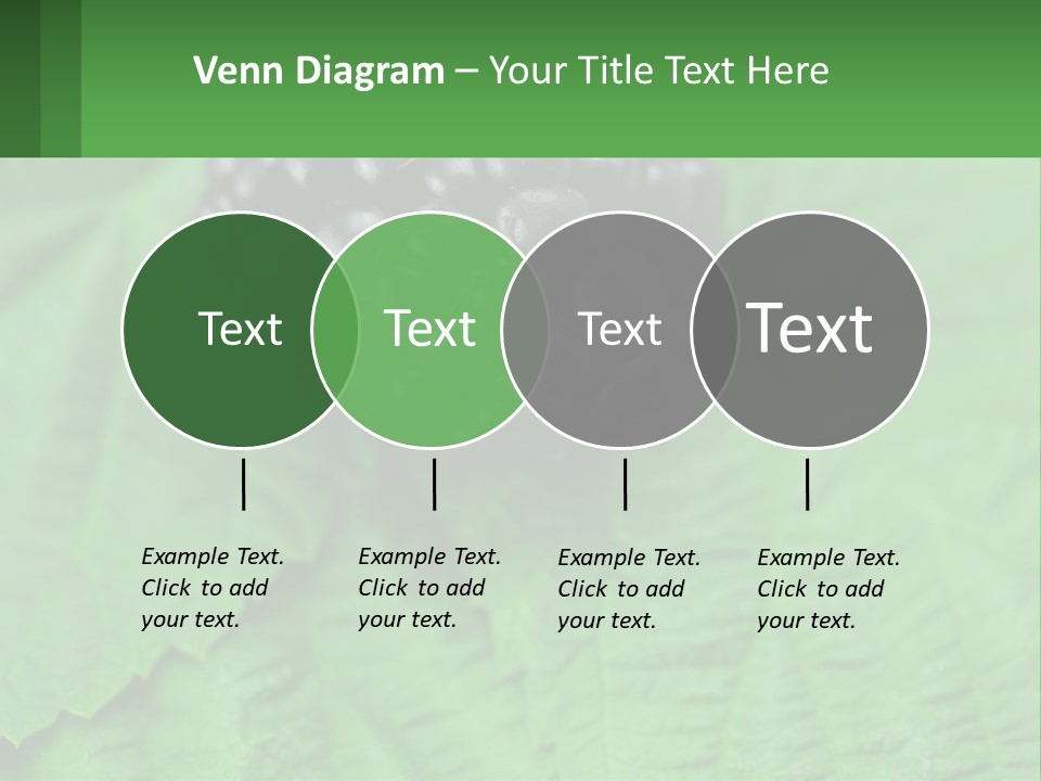 A Bunch Of Blackberries Sitting On Top Of A Green Leaf PowerPoint Template