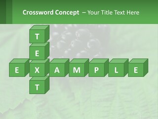 A Bunch Of Blackberries Sitting On Top Of A Green Leaf PowerPoint Template