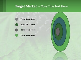 A Bunch Of Blackberries Sitting On Top Of A Green Leaf PowerPoint Template