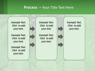 A Bunch Of Blackberries Sitting On Top Of A Green Leaf PowerPoint Template