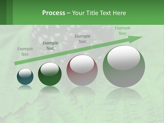 A Bunch Of Blackberries Sitting On Top Of A Green Leaf PowerPoint Template