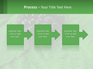 A Bunch Of Blackberries Sitting On Top Of A Green Leaf PowerPoint Template