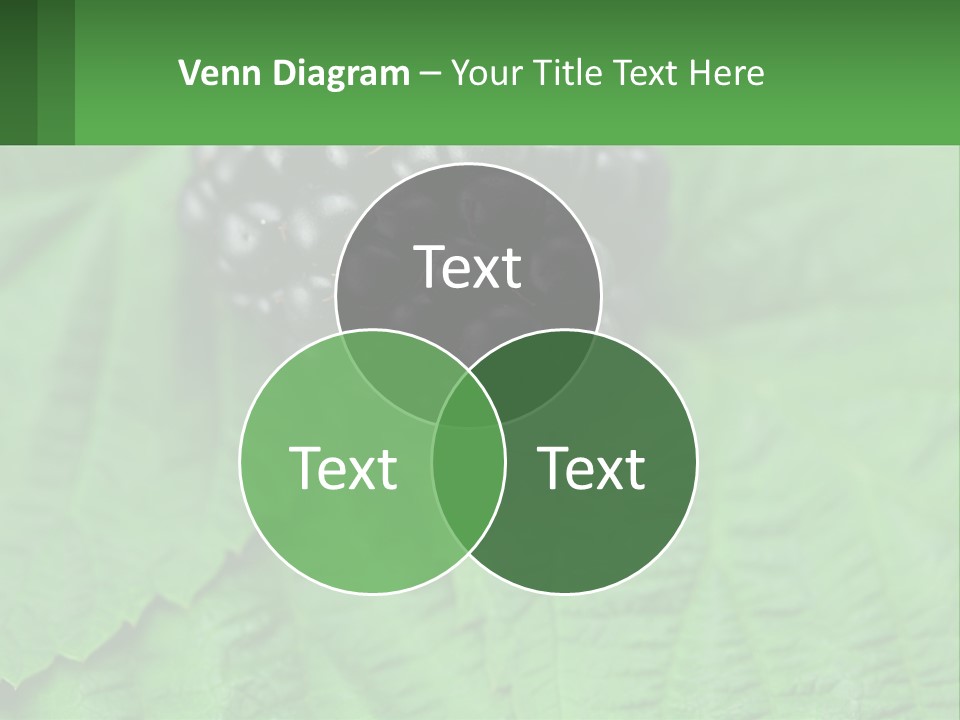 A Bunch Of Blackberries Sitting On Top Of A Green Leaf PowerPoint Template
