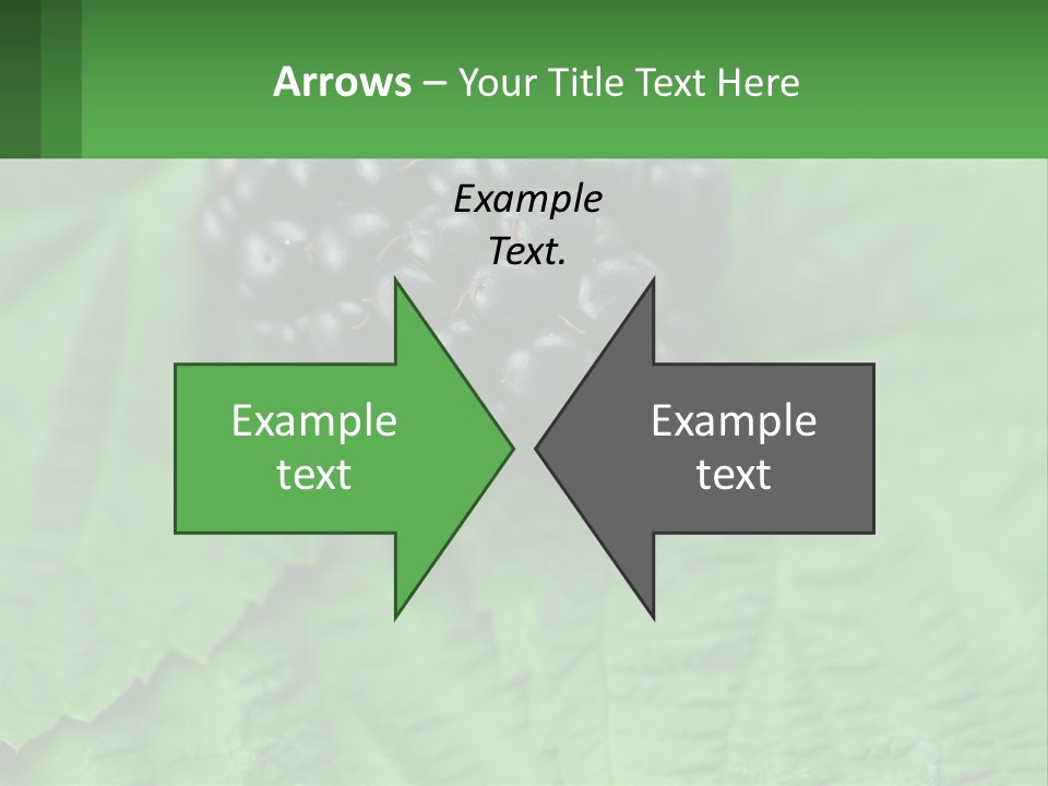 A Bunch Of Blackberries Sitting On Top Of A Green Leaf PowerPoint Template