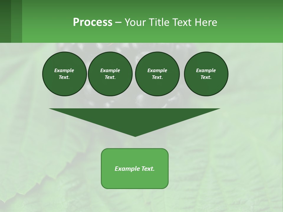 A Bunch Of Blackberries Sitting On Top Of A Green Leaf PowerPoint Template