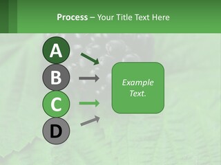 A Bunch Of Blackberries Sitting On Top Of A Green Leaf PowerPoint Template