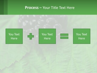 A Bunch Of Blackberries Sitting On Top Of A Green Leaf PowerPoint Template