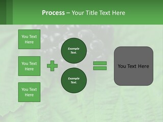 A Bunch Of Blackberries Sitting On Top Of A Green Leaf PowerPoint Template
