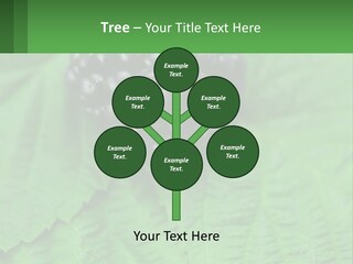 A Bunch Of Blackberries Sitting On Top Of A Green Leaf PowerPoint Template