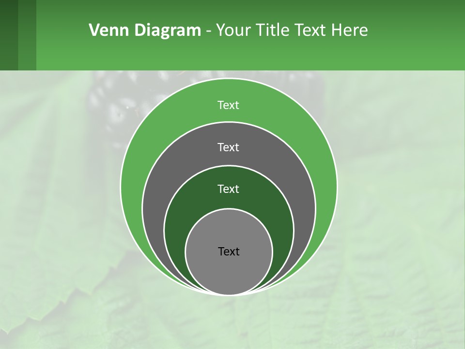 A Bunch Of Blackberries Sitting On Top Of A Green Leaf PowerPoint Template